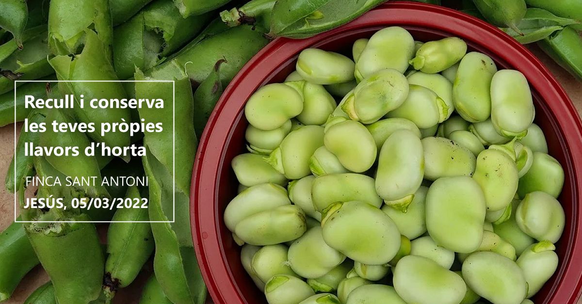 Recull i conserva les teves pr�pies llavors
