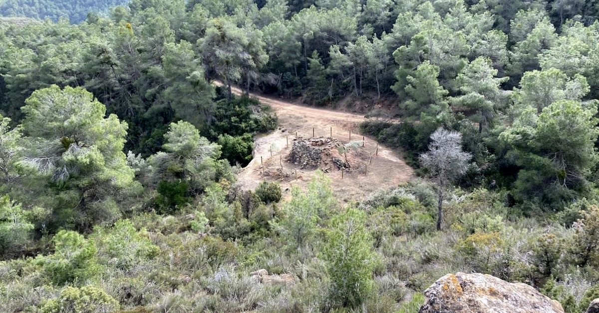 Riba-roja dEbre recupera un nou forn doli de ginebre