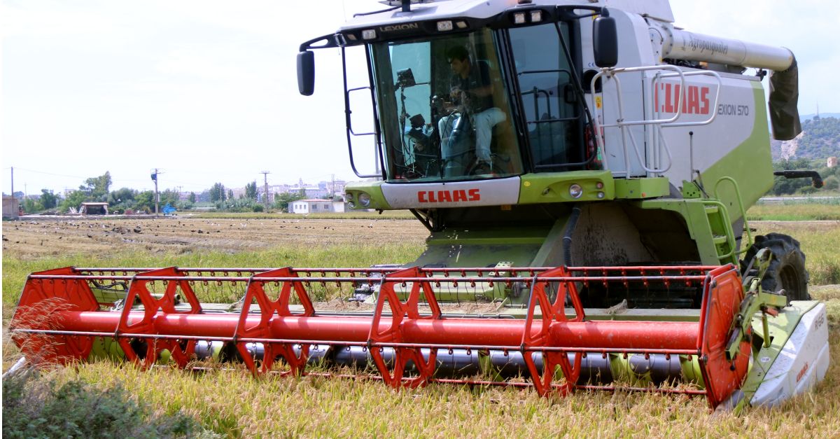Les cooperatives catalanes constaten una reducci de ms del 10% en la producci darrs