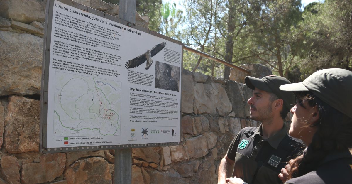 Reobren sis senders amb accs restringit a les Terres de lEbre desprs de lpoca de reproducci de lliga cuabarrada