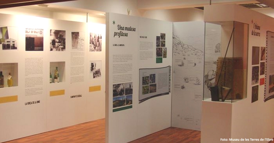 Obre el Centre d’Interpetaci de la Serra de Godall | EbreActiu.cat, revista digital d’oci actiu | Terres de l’Ebre ...