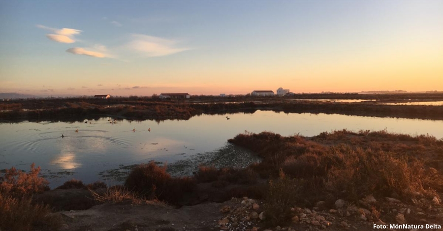 MnNatura Delta reobre amb noves activitats de natura