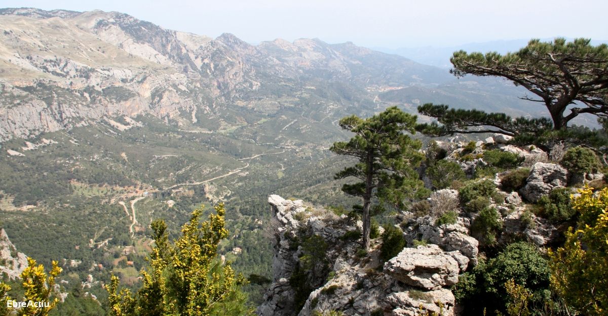 Els Centres de visitants i Punts dinformaci del Parc Natural dels Ports obren al pblic aquest cap de setmana