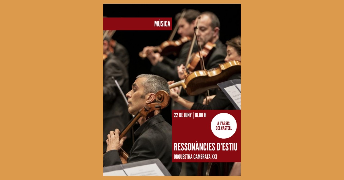 Ressonncies destiu amb lOrquestra Camerata XXI