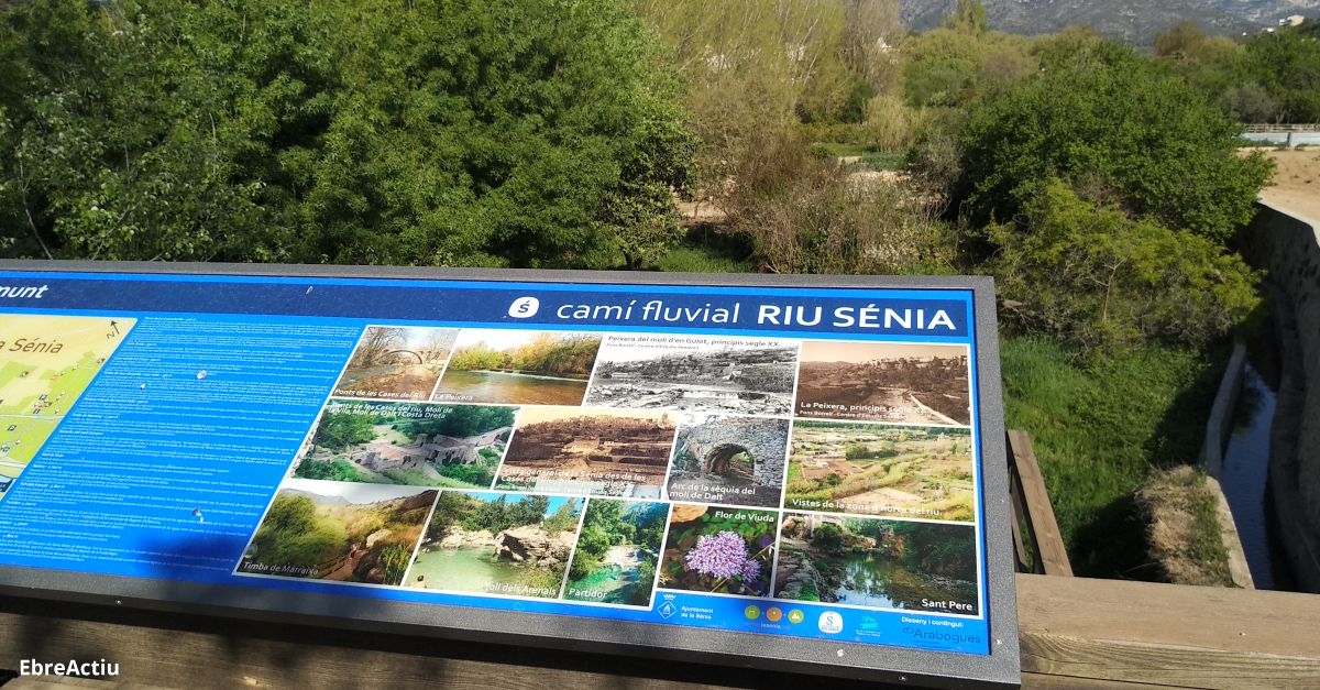 La Snia inicia la restauraci fluvial del riu Snia