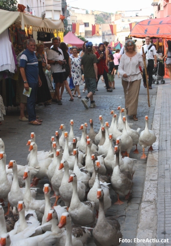 La XXII Festa del Renaixement acaba amb una valoraci� molt positiva | EbreActiu.cat, revista digital d&rsquo;oci actiu | Terres de l&rsquo;Ebre ...