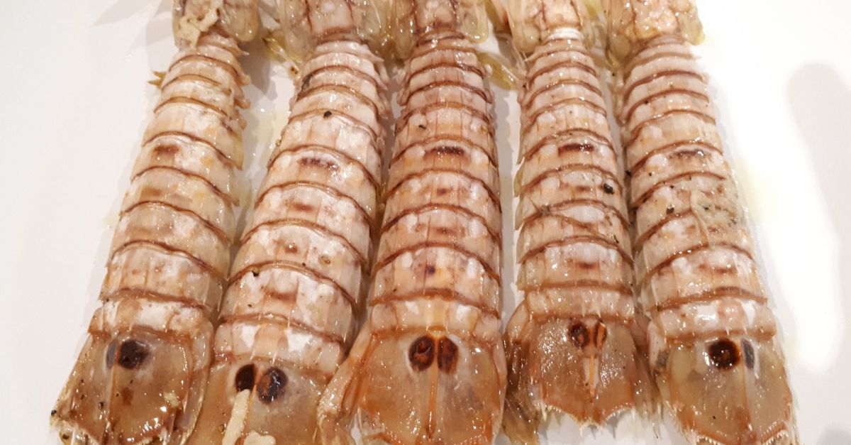 Balan positiu de les Jornades Gastronmiques de la Galera a l’Ametlla de Mar 2024 | EbreActiu.cat, revista digital d’oci actiu | Terres de l’Ebre ...