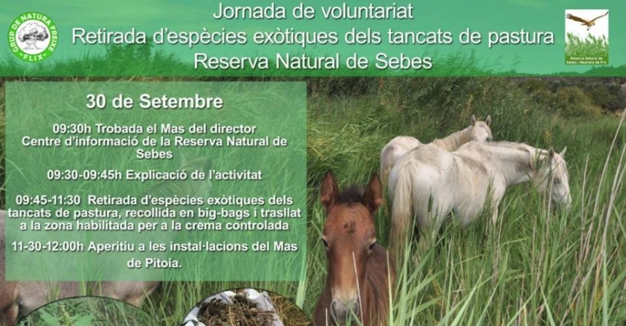 Jornada de voluntariat: Retirada d�esp�cies ex�tiques dels tancats de pastura a la Reserva Natural de Sebes