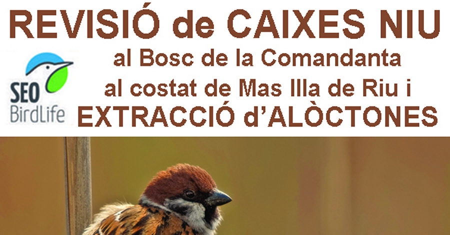 Revisi�n de cajas nido y extracci�n de al�ctonas
