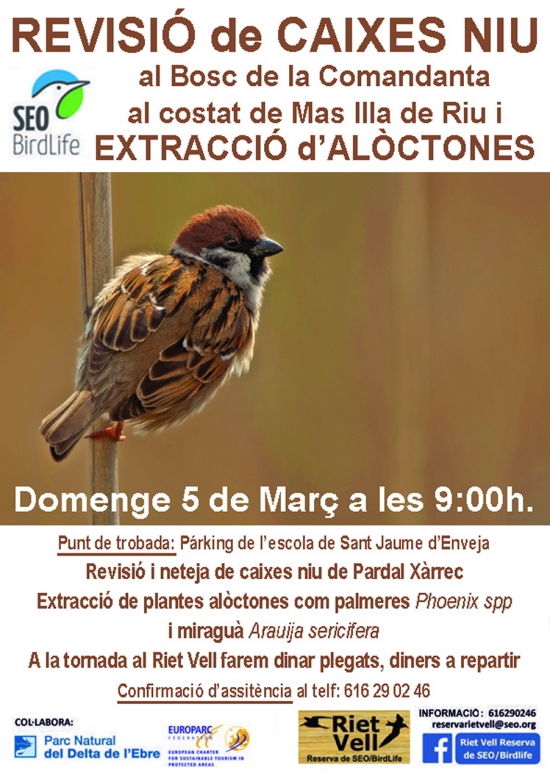 Revisi� de caixes niu i extracci� d�al�ctones