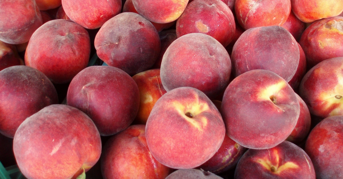 La Ribera d’Ebre impulsa una campanya per promoure els productes agroalimentaris locals | EbreActiu.cat, revista digital d’oci actiu | Terres de l’Ebre ... La Ribera d’Ebre impulsa una campanya per promoure els productes agroalimentaris locals | EbreActiu.cat, revista digital d’oci actiu | Terres de l’Ebre ...