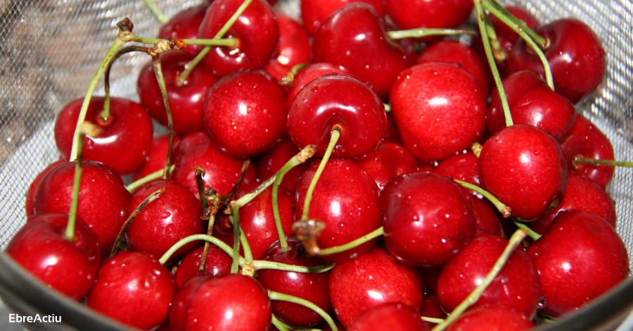 La Ribera d’Ebre vol visibilitzar els seus productes agroalimentaris | EbreActiu.cat, revista digital d’oci actiu | Terres de l’Ebre ... La Ribera d’Ebre vol visibilitzar els seus productes agroalimentaris | EbreActiu.cat, revista digital d’oci actiu | Terres de l’Ebre ...