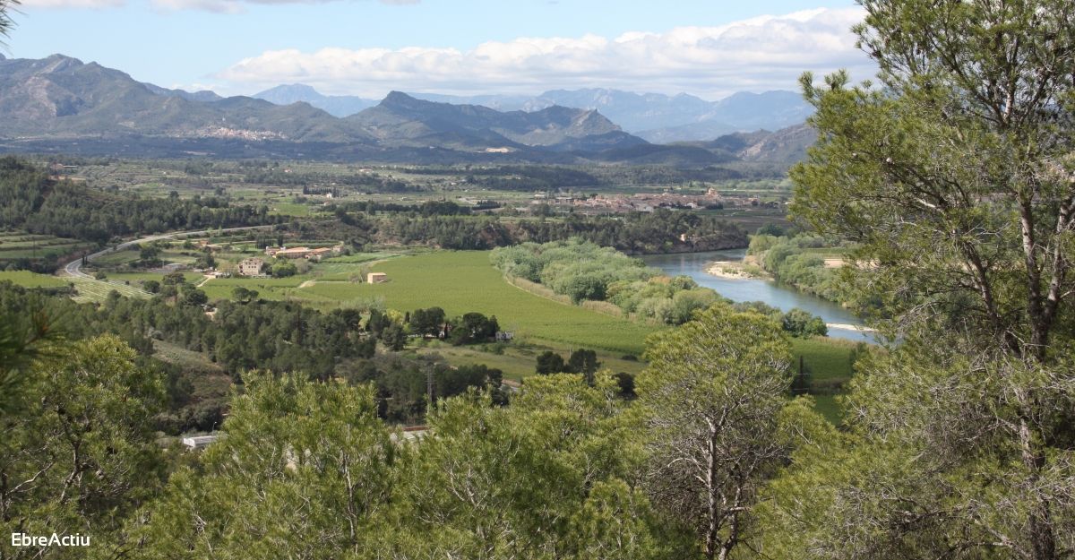 La Ribera dEbre vol atreure el turisme familiar del mercat catal
