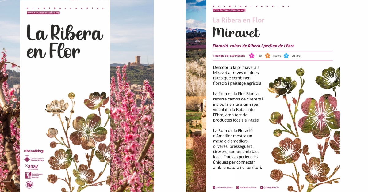 La Ribera en Flor 2026: Miravet
