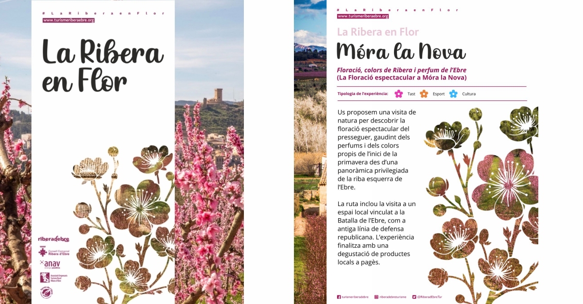 La Ribera en Flor 2026: Móra la Nova - Floració, colors de Ribera i perfum de l’Ebre La Ribera en Flor 2026: Móra la Nova - Floració, colors de Ribera i perfum de l’Ebre