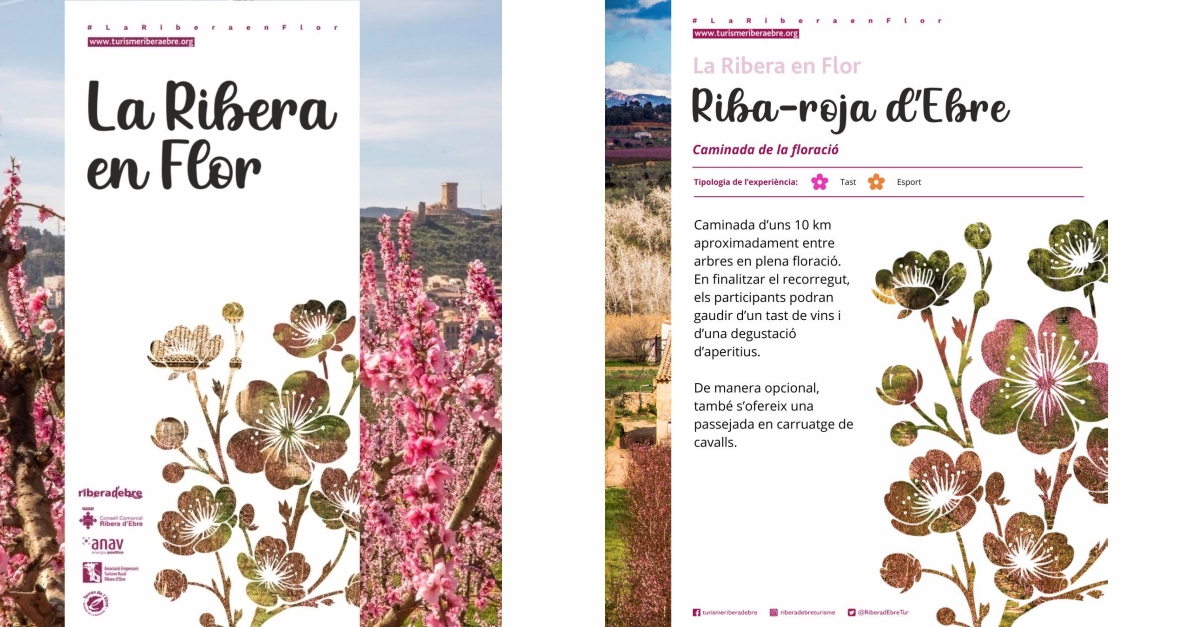 La Ribera en Flor 2026: Riba-roja d�Ebre - Caminata de la floraci�n