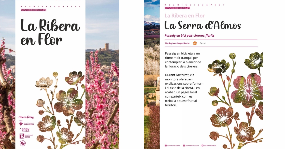 La Ribera en Flor 2026: La Serra d�Almos (passeig en bici pels cirerers florits)