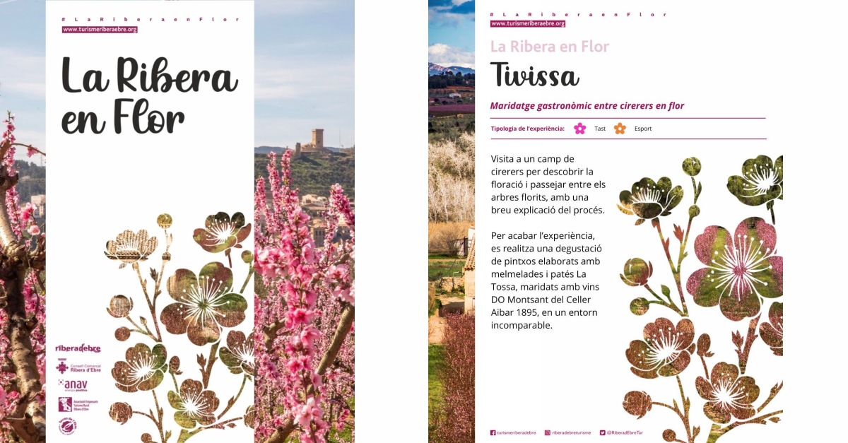 La Ribera en Flor 2026: Tivissa (maridaje gastron�mico entre cerezos en flor)