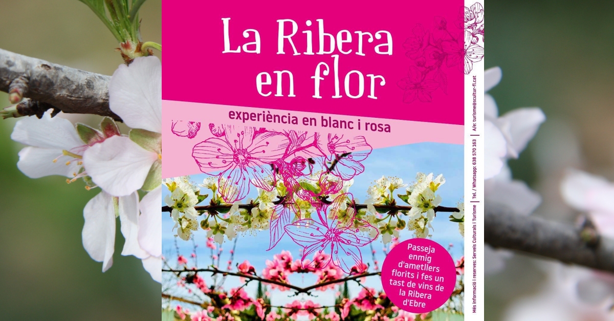 Asc�, la Ribera en flor, experi�ncia en blac i rosa #LaRiberaenFlor