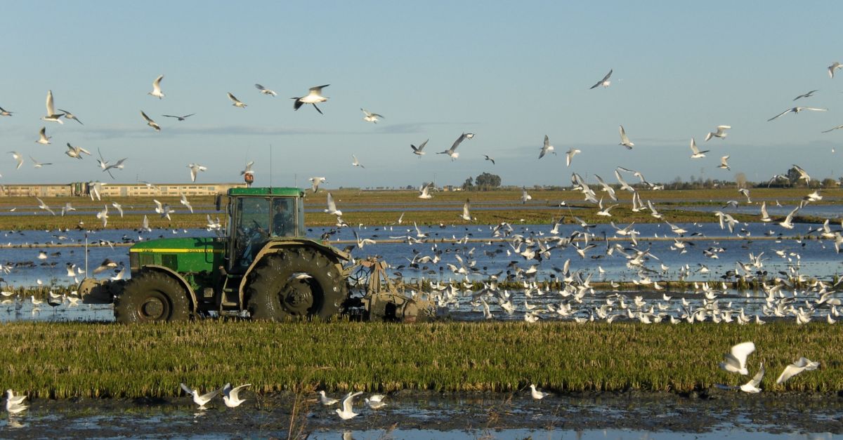 Riet Vell rep el premi als Millors Productors Sostenibles d’Espanya