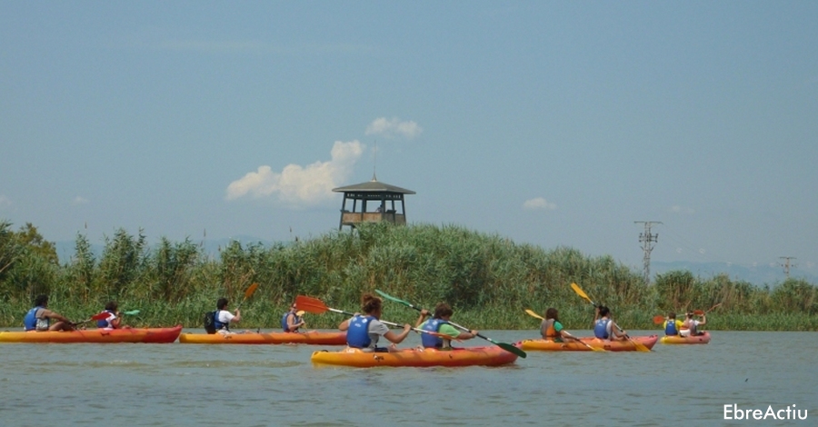 Riu Ebre i gola de Migjorn amb caiac