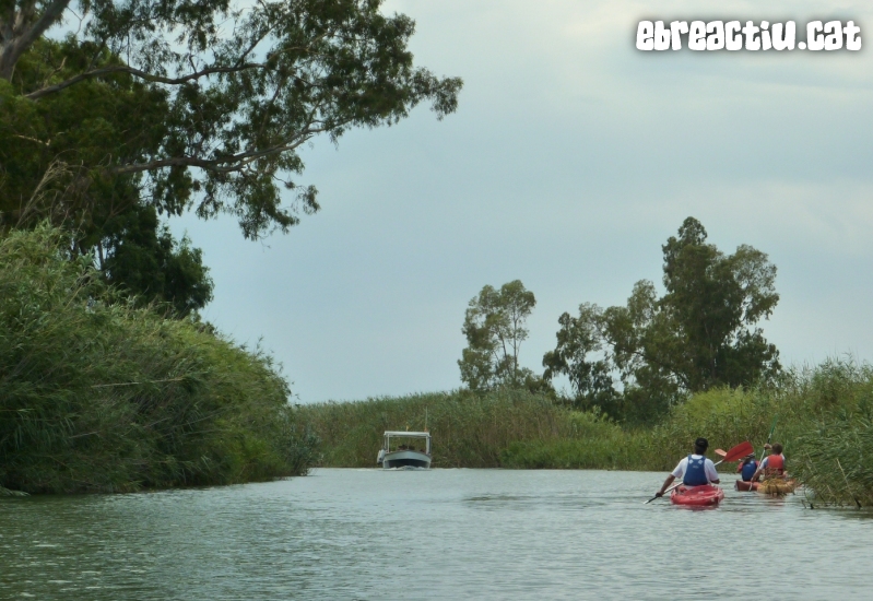 Riu Ebre i gola de Migjorn amb caiac | EbreActiu.cat, revista digital d&rsquo;oci actiu | Terres de l&rsquo;Ebre ...
