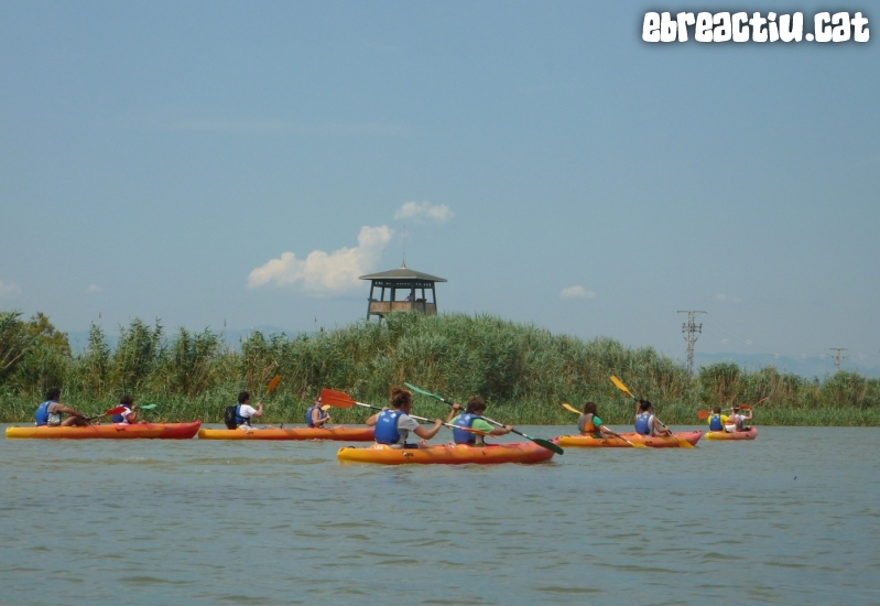 Riu Ebre i gola de Migjorn amb caiac | EbreActiu.cat, revista digital d&rsquo;oci actiu | Terres de l&rsquo;Ebre ...