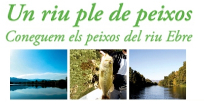 Taller "con�ixer els peixos de l&rsquo;Ebre" i demostraci� de captura cient�fica amb pesca el�ctr�nica
