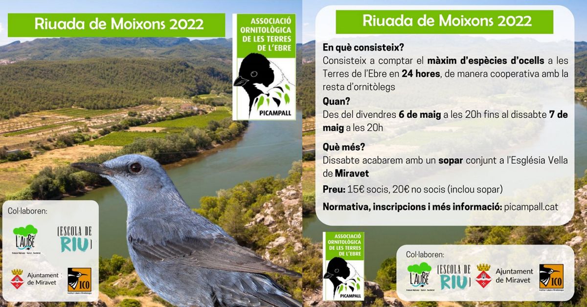 4a Riuada de Moixons de les Terres de l�Ebre