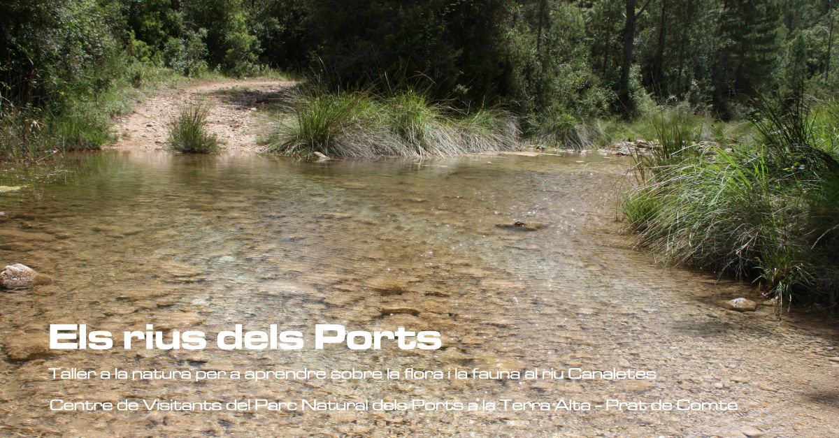 Los r�os dels Ports