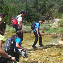 ROGLES AVENTURA<br>Activitats a les Terres de l&rsquo;Ebre, Priorat i Baix Cinca
