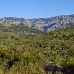 Roquetes, muntanya, ci�ncia i tradici�