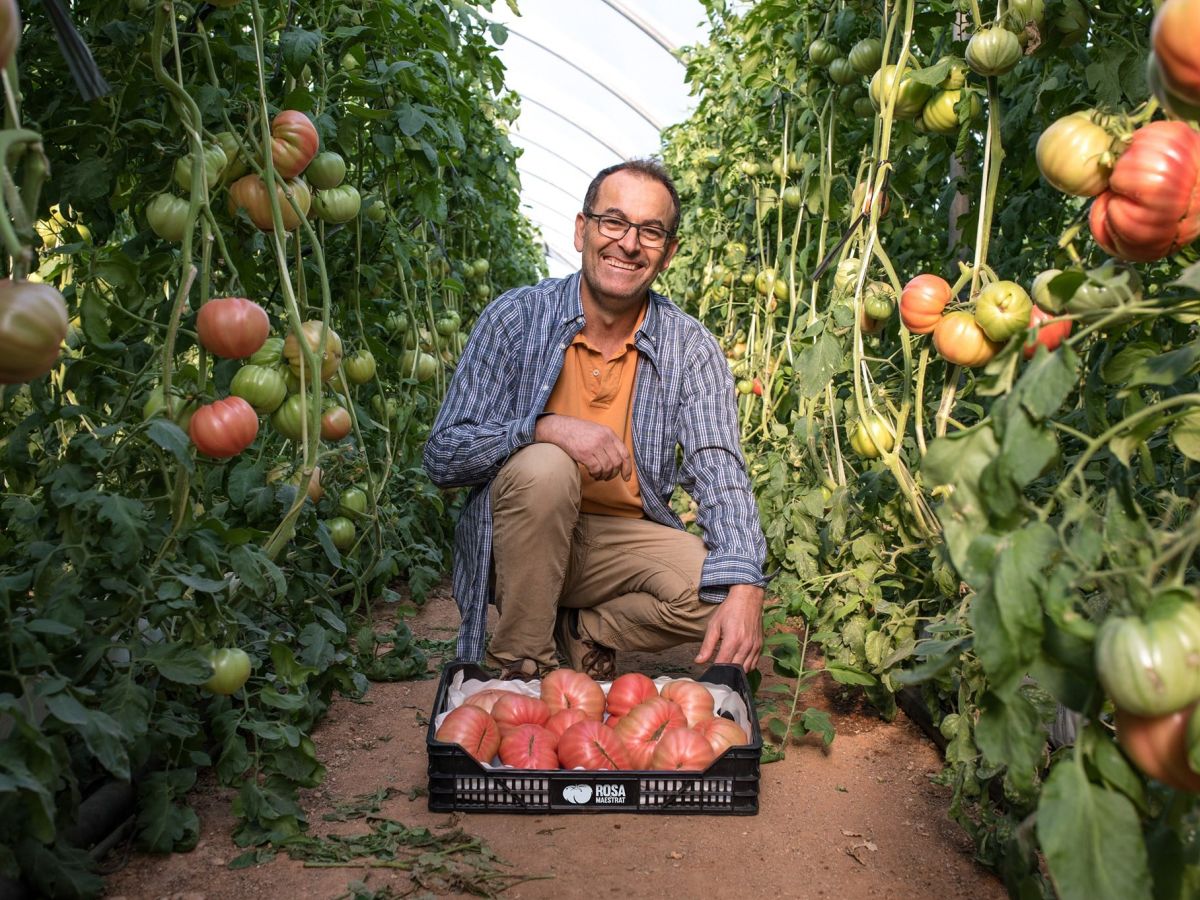 Rosa del Maestrat. Tot el sabor del tom�quet amb residu zero | EbreActiu.cat, revista digital d&rsquo;oci actiu | Terres de l&rsquo;Ebre ...