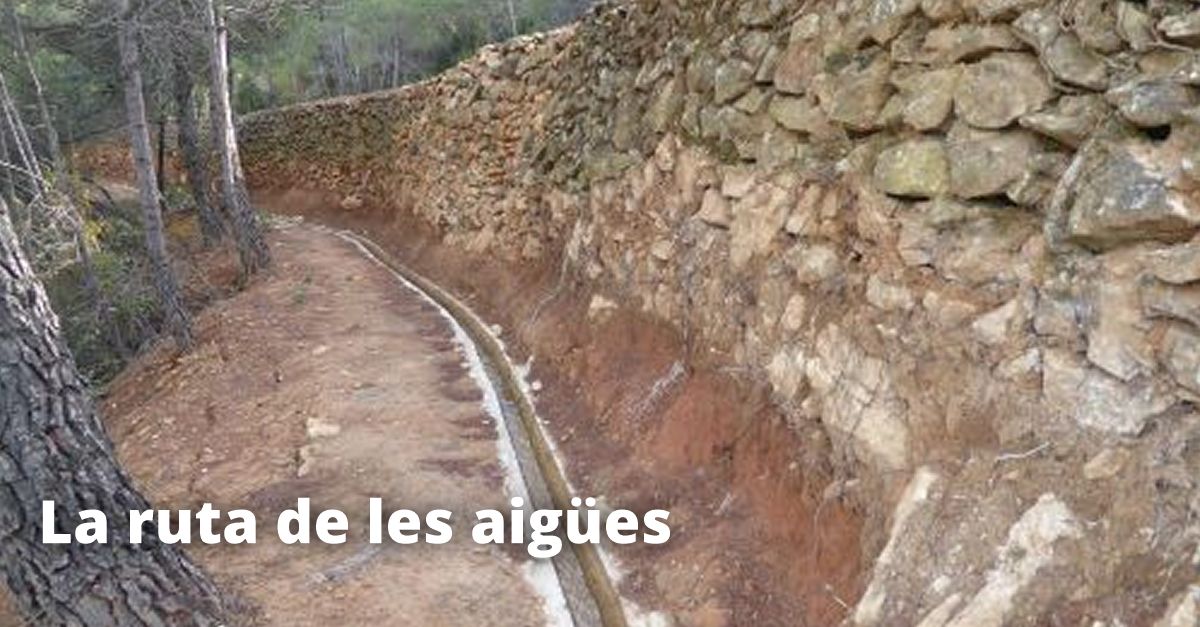 La ruta de les aig�es