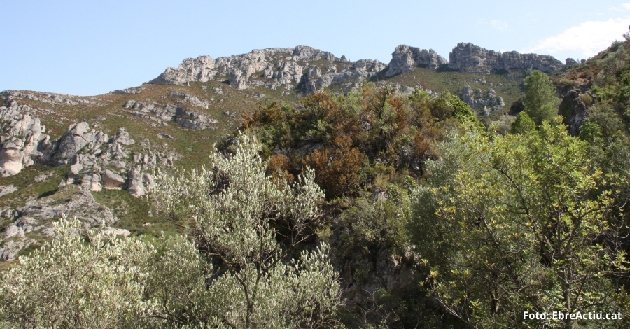Ruta: Ascens al cim de la Barcina per la Vall del Pastor