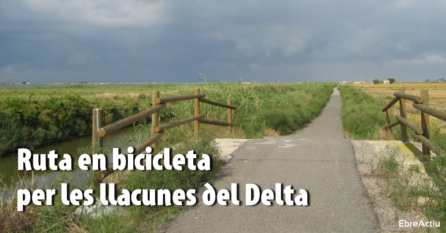 Ruta en bicicleta per les Llacunes del Delta [CANCEL�LADA]