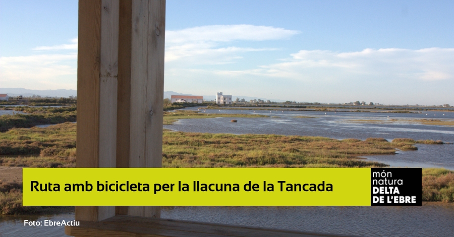 Pedalant per la bassa - Ruta amb bicicleta per la llacuna de la Tancada Pedalant per la bassa - Ruta amb bicicleta per la llacuna de la Tancada