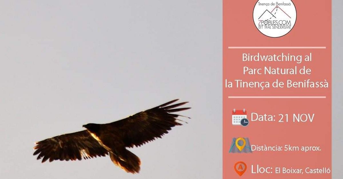 Ruta guiada de birdwatching en el Parque Natural de la Tinena de Benifass