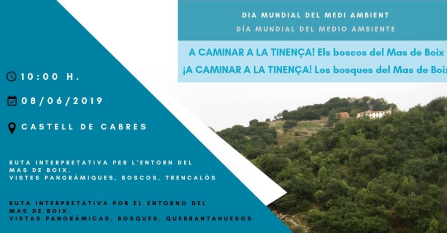 A caminar por la Tinen�a. Los bosques del Mas de Boix