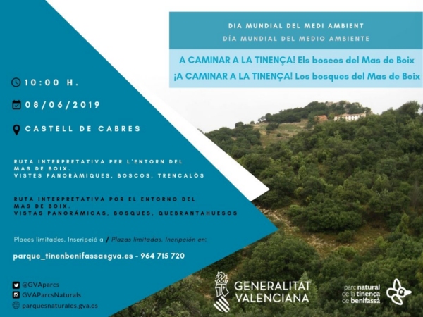 A caminar per la Tinen�a. Els boscos del Mas de Boix