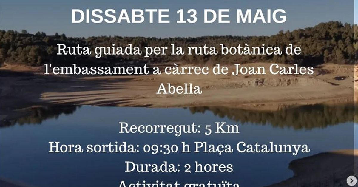 Ruta guiada per la ruta bot�nica de l�embassament de la Palma d�Ebre