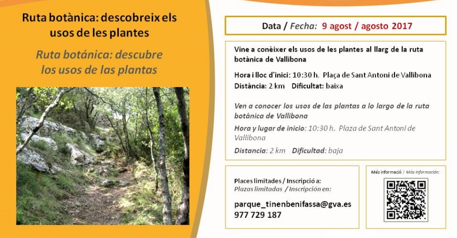 Ruta bot�nica: descobreix els usos de les plantes