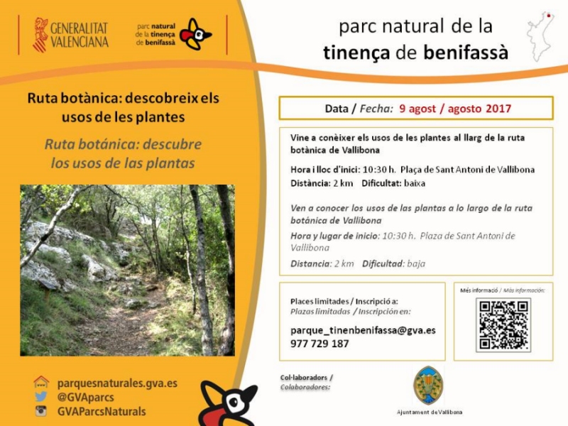 Ruta botànica: descobreix els usos de les plantes Ruta botànica: descobreix els usos de les plantes