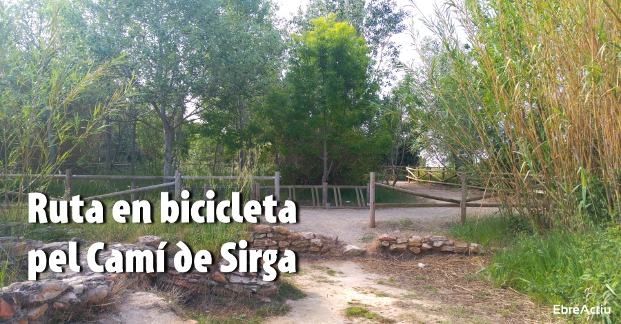 Ruta en bicicleta pel Cam� de Sirga (10 km)