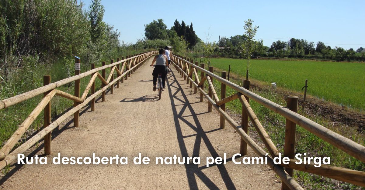 Ruta descoberta de natura pel Cam� de Sirga