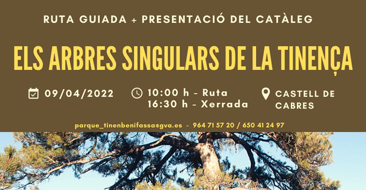 Ruta guiada: Els arbres singulars de la Tinen�a