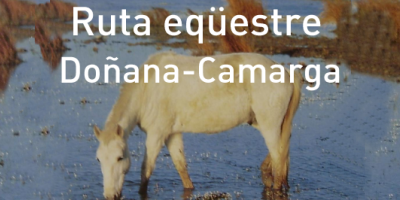 Arribada dels genets, cavalls i carruatges de la ruta eq�estre Do�ana-Camarga
