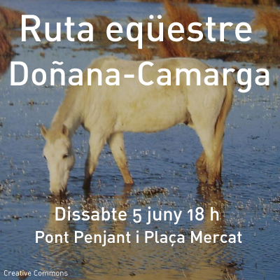 Arribada dels genets, cavalls i carruatges de la ruta eq�estre Do�ana-Camarga