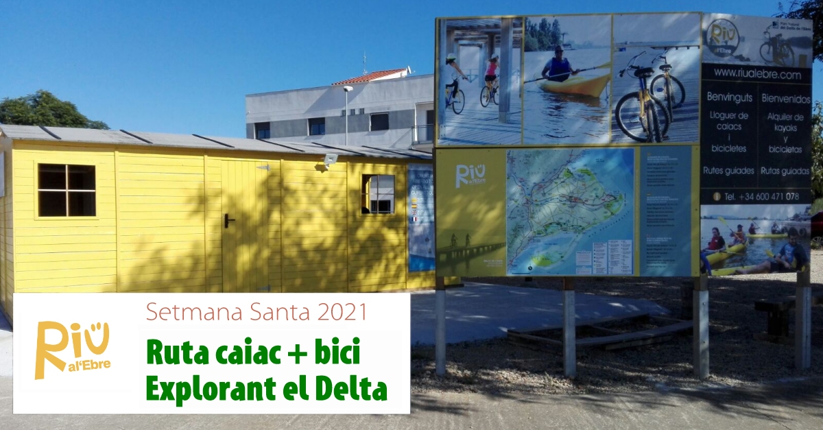 Ruta combinada en kayak y bici �Explorando el Delta�