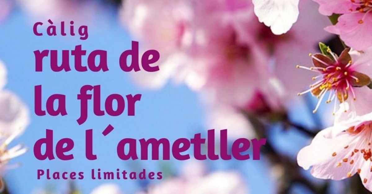 II Ruta de la flor de l&rsquo;ametller a C�lig